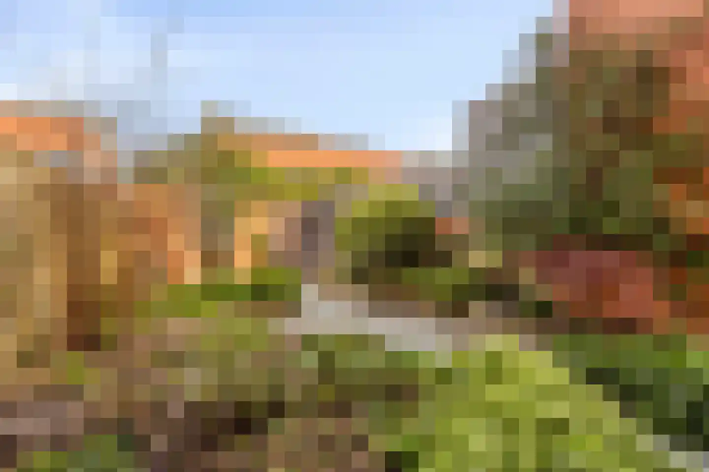 Duizendbladstraat 23 Goes thumbnail 33