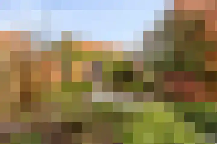 Duizendbladstraat 23 Goes thumbnail 33