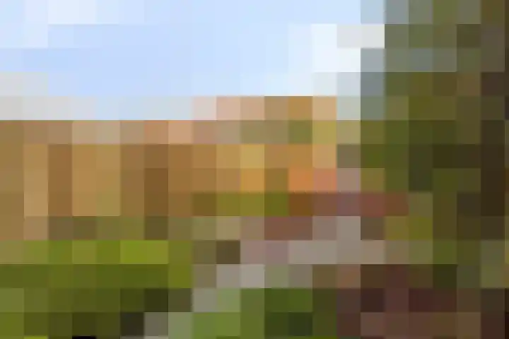 Duizendbladstraat 23 Goes thumbnail 34