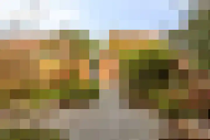 Duizendbladstraat 23 Goes thumbnail 35