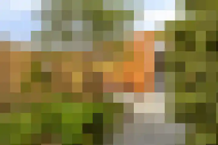 Duizendbladstraat 23 Goes thumbnail 36