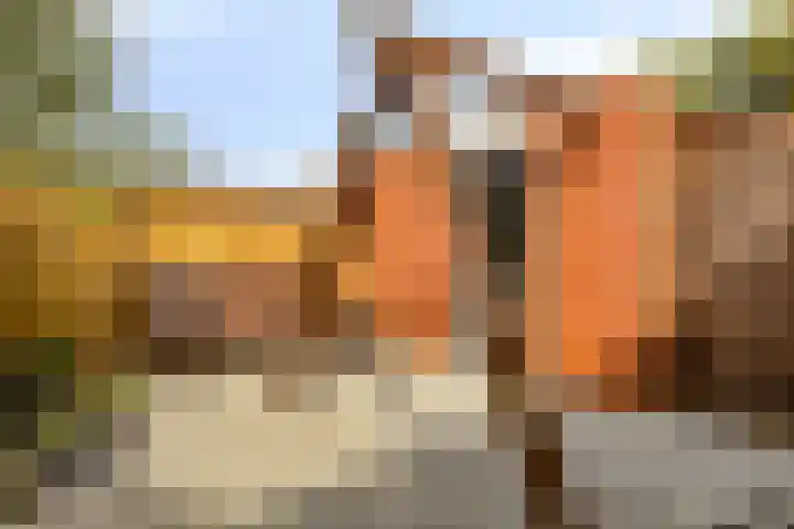 Duizendbladstraat 23 Goes thumbnail 37