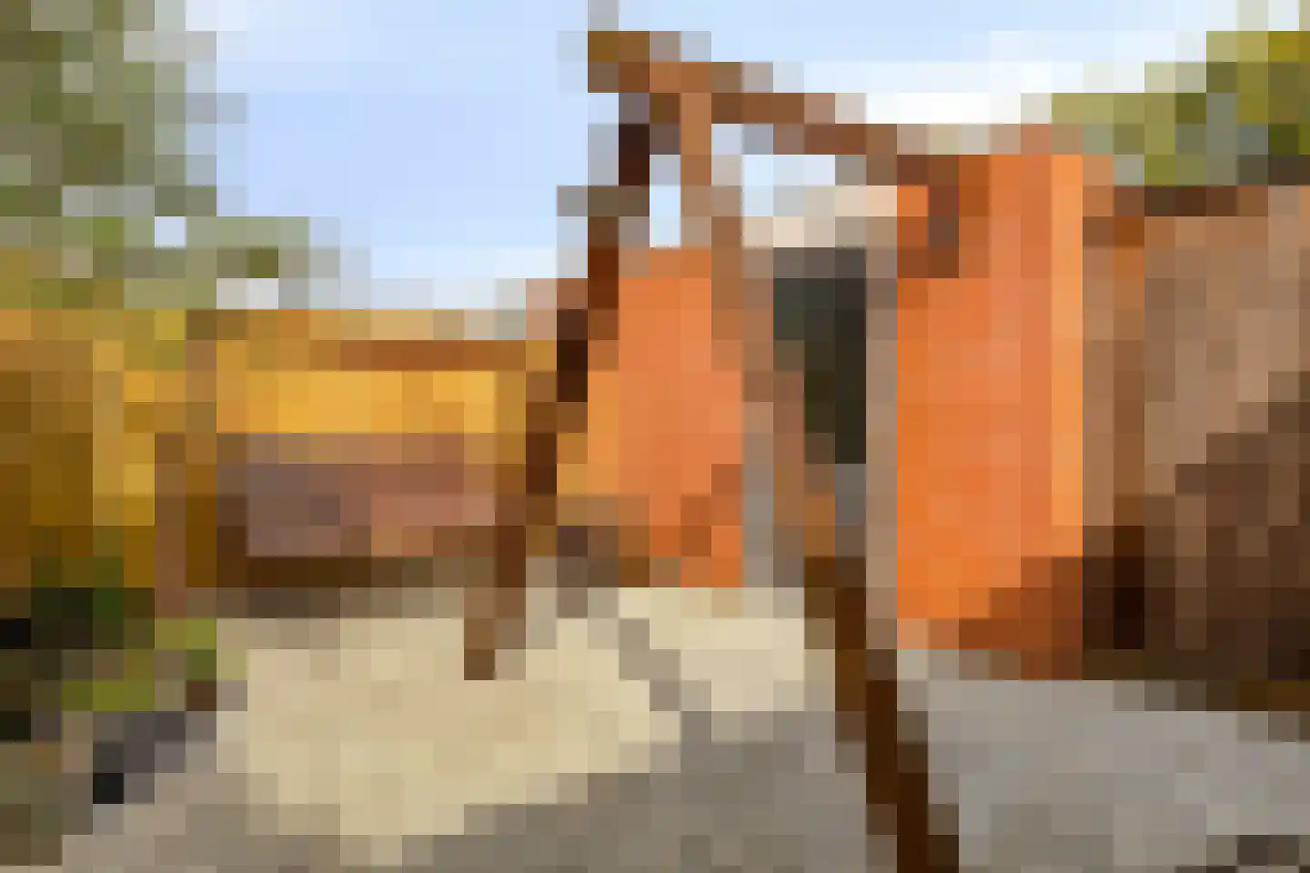 Duizendbladstraat 23 Goes thumbnail 37