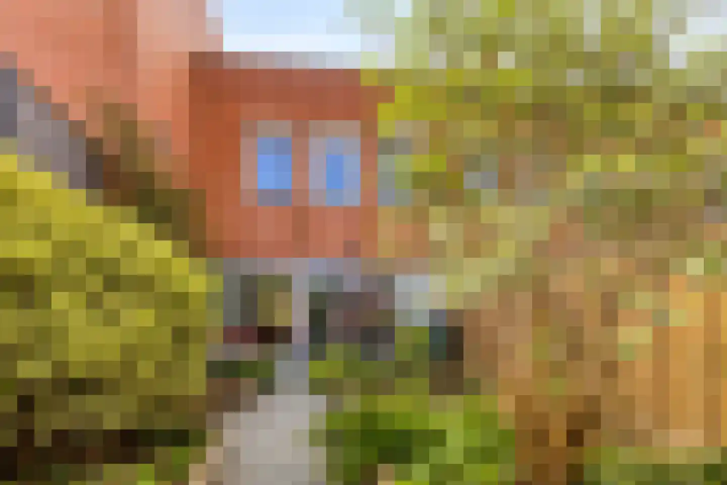 Duizendbladstraat 23 Goes thumbnail 38