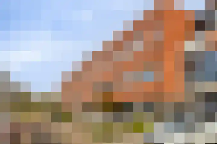 Duizendbladstraat 23 Goes thumbnail 4