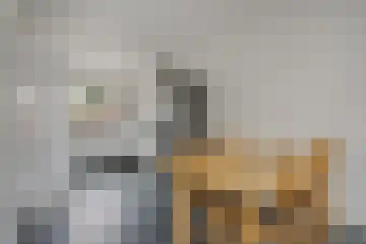 Duizendbladstraat 25 Goes thumbnail 11