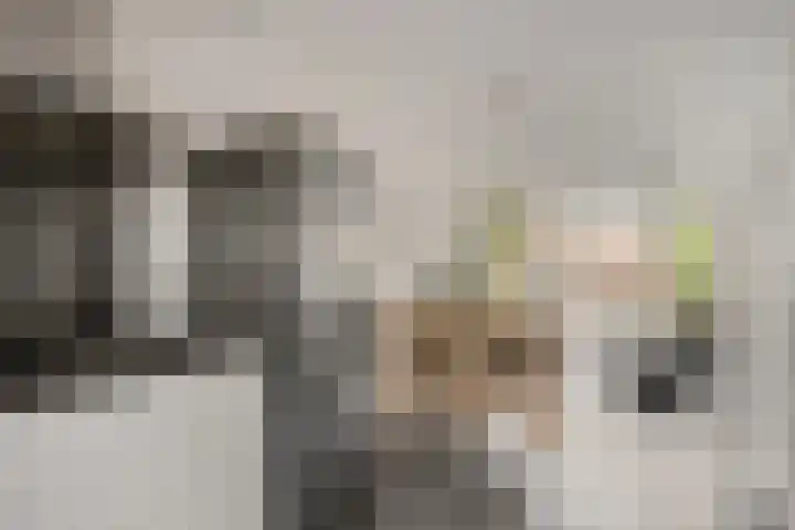 Duizendbladstraat 25 Goes thumbnail 12