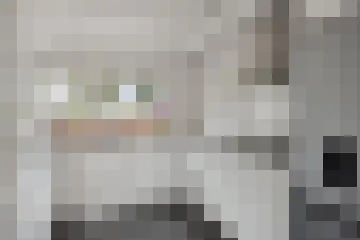 Duizendbladstraat 25 Goes thumbnail 13