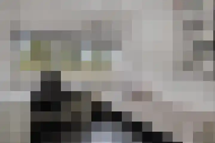Duizendbladstraat 25 Goes thumbnail 16