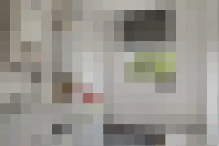 Duizendbladstraat 25 Goes thumbnail 20