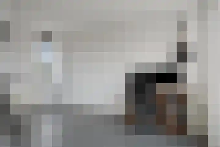 Duizendbladstraat 25 Goes thumbnail 21