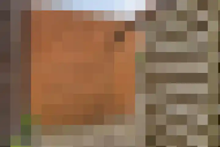 Duizendbladstraat 25 Goes thumbnail 29