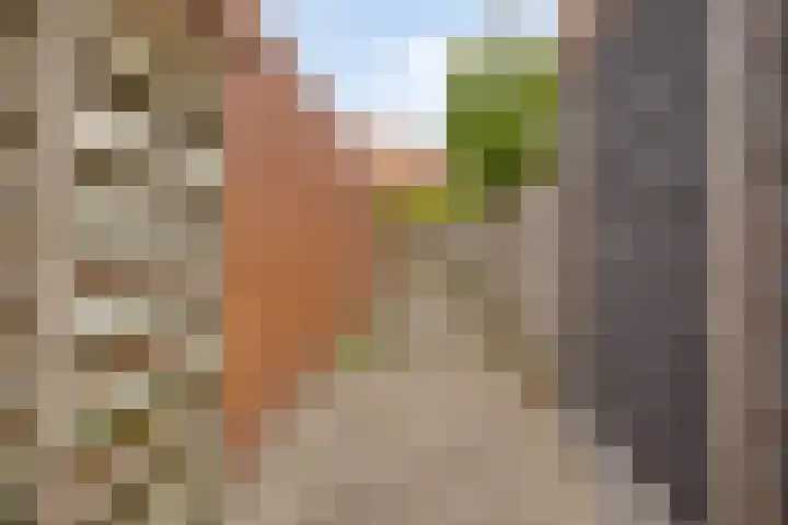 Duizendbladstraat 25 Goes thumbnail 30