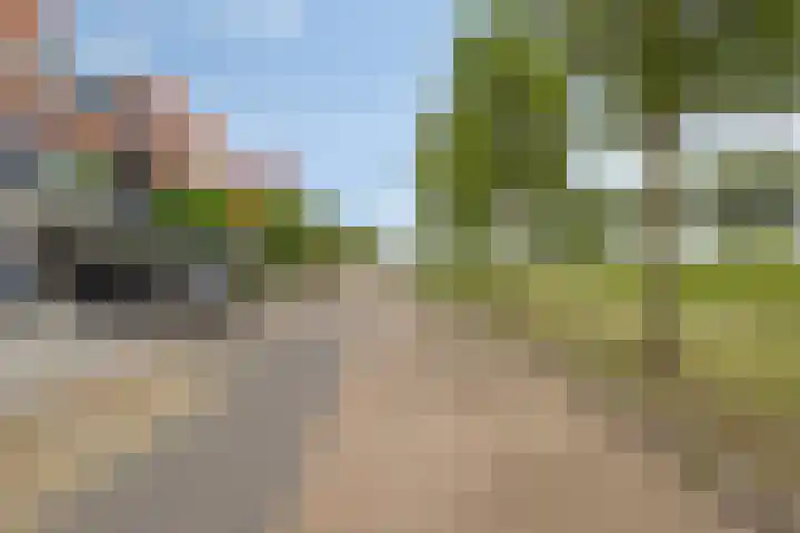 Duizendbladstraat 25 Goes thumbnail 31