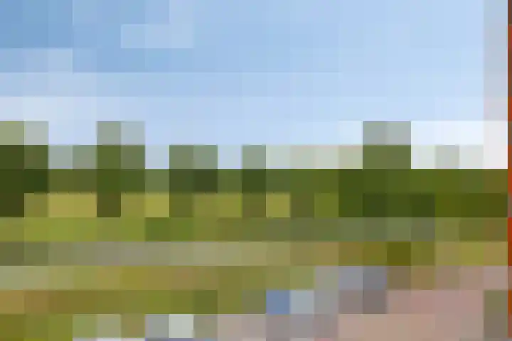 Duizendbladstraat 25 Goes thumbnail 33
