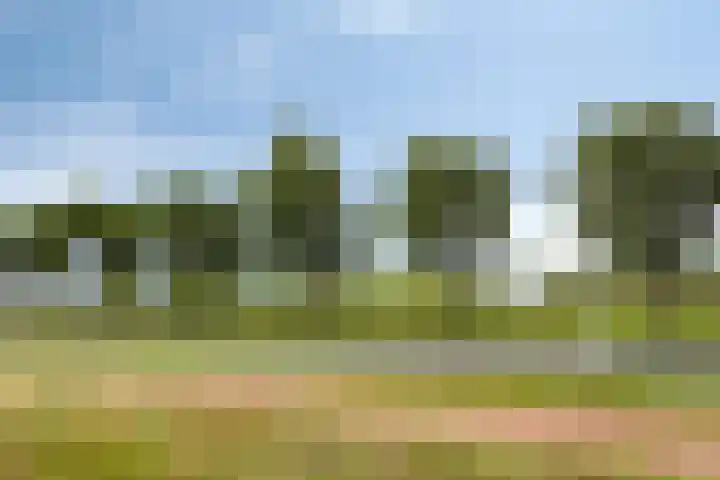 Duizendbladstraat 25 Goes thumbnail 34