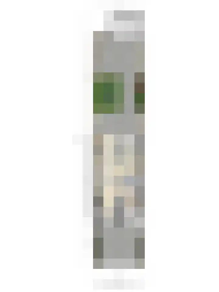 Duizendbladstraat 25 Goes thumbnail 37