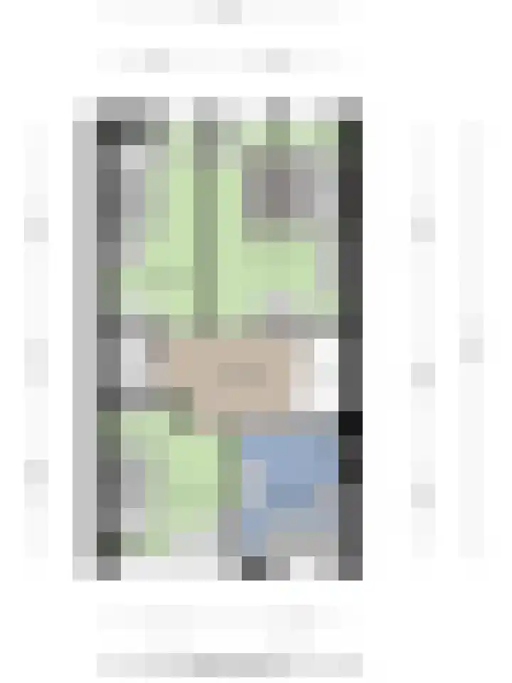 Duizendbladstraat 25 Goes thumbnail 38