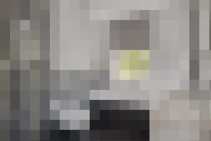 Duizendbladstraat 25 Goes thumbnail 4