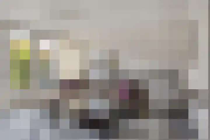 Duizendbladstraat 25 Goes thumbnail 8