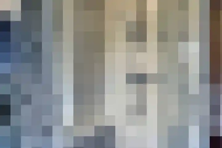 Duizendbladstraat 53 Goes thumbnail 10