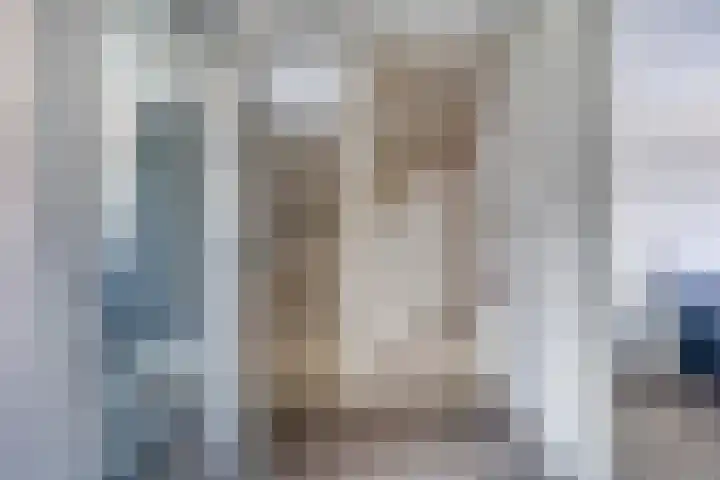Duizendbladstraat 53 Goes thumbnail 17