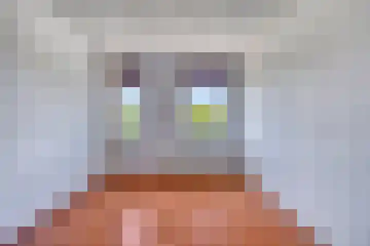 Duizendbladstraat 53 Goes thumbnail 21