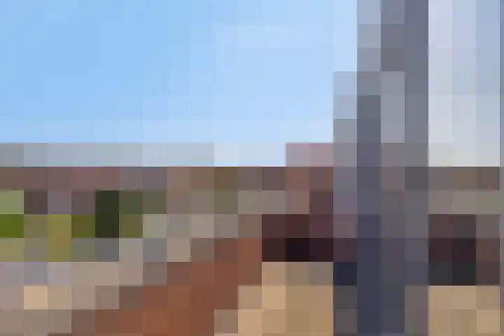 Duizendbladstraat 53 Goes thumbnail 23