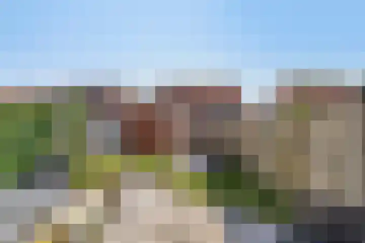 Duizendbladstraat 53 Goes thumbnail 26
