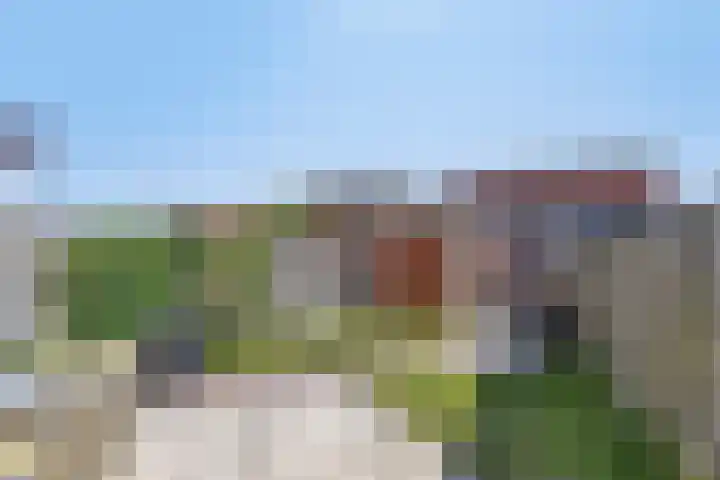 Duizendbladstraat 53 Goes thumbnail 27