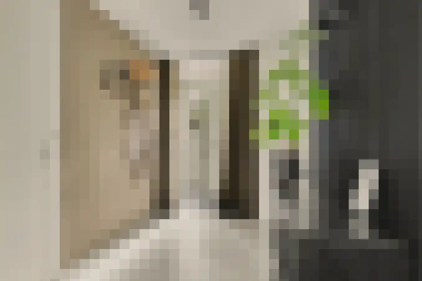 Duizendbladstraat 65 Goes thumbnail 13