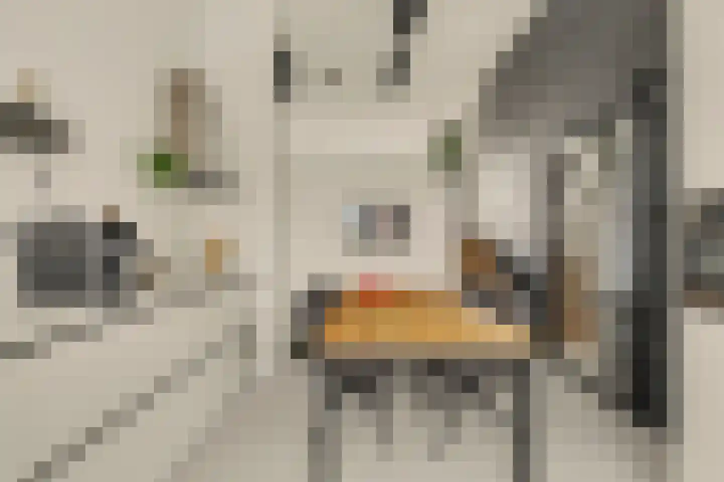 Duizendbladstraat 65 Goes thumbnail 23