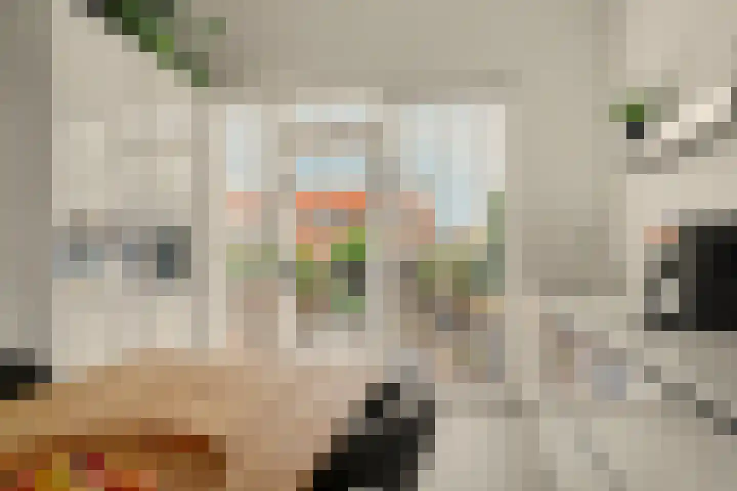 Duizendbladstraat 65 Goes thumbnail 24