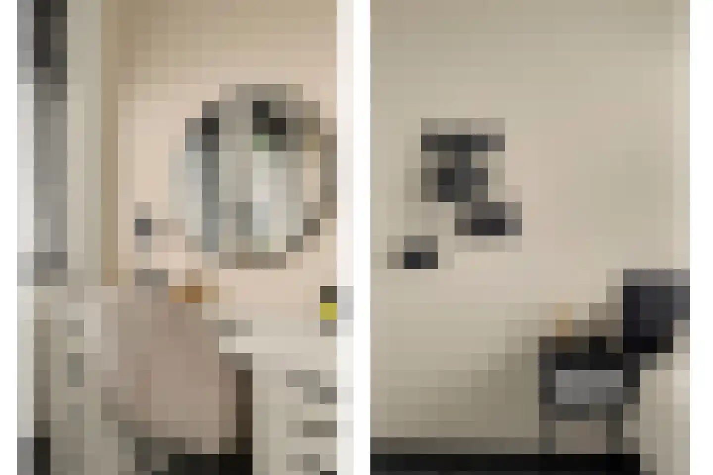 Duizendbladstraat 65 Goes thumbnail 37