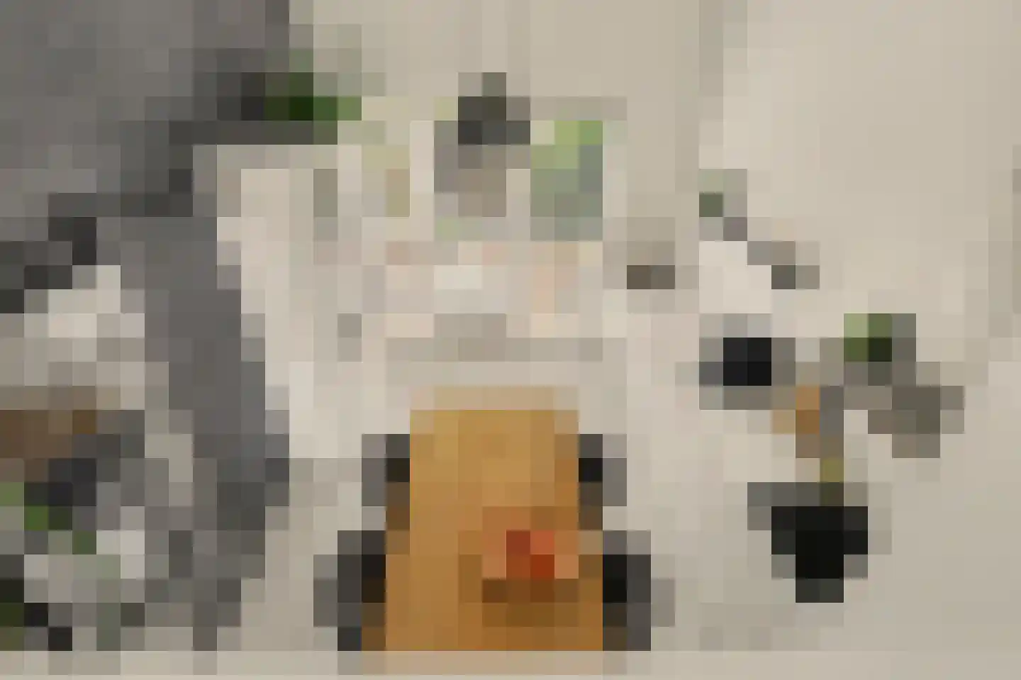 Duizendbladstraat 65 Goes thumbnail 4