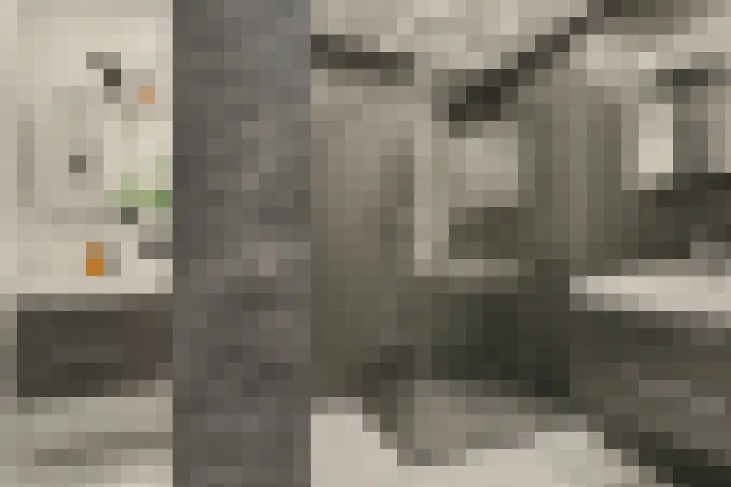 Duizendbladstraat 65 Goes thumbnail 43