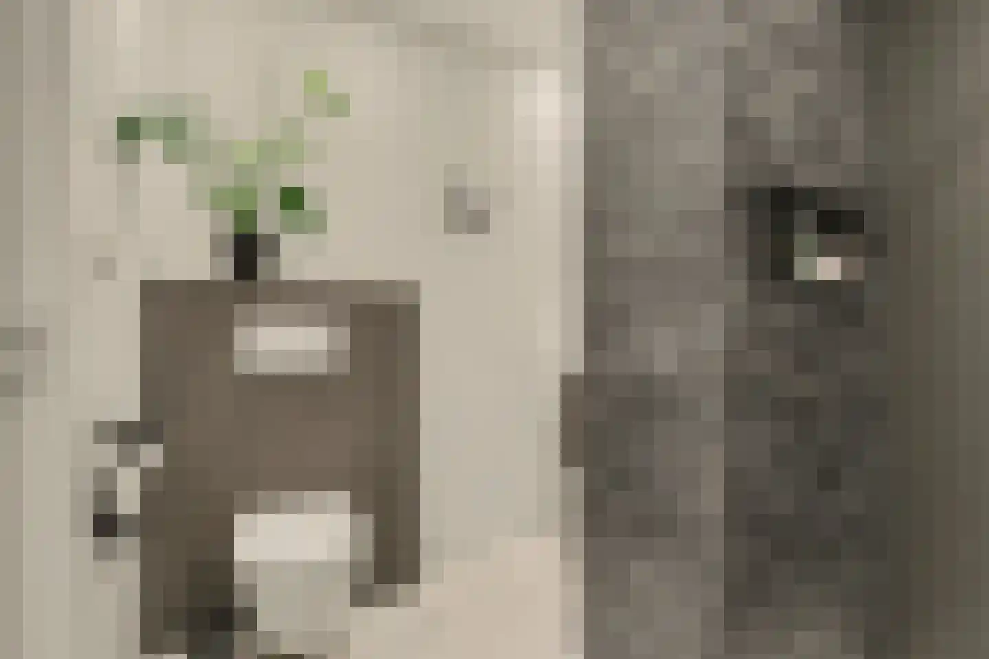 Duizendbladstraat 65 Goes thumbnail 44