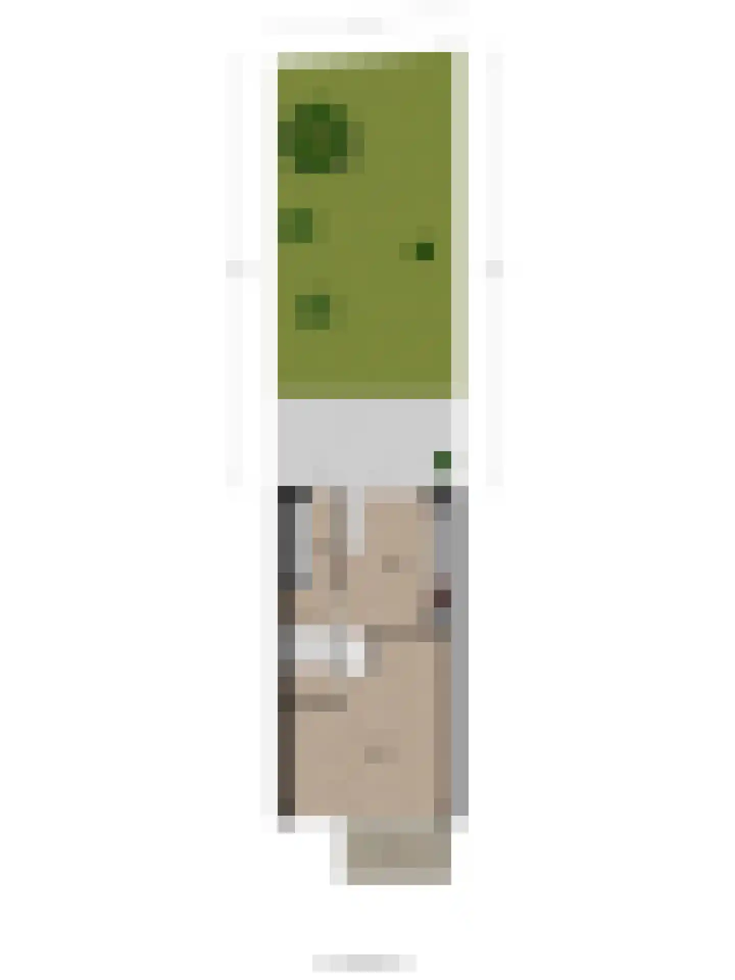 Duizendbladstraat 65 Goes thumbnail 68