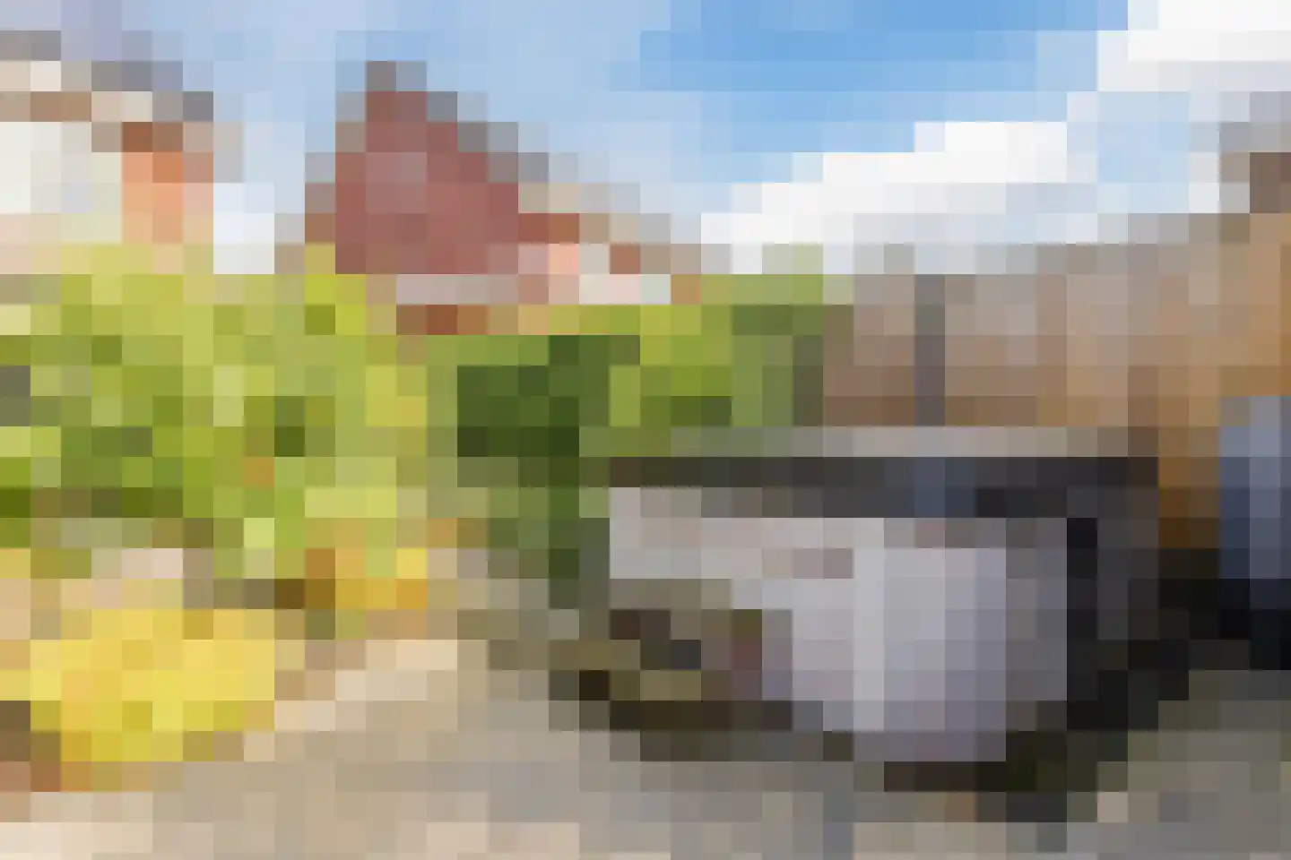 Duizendbladweg 11 Heerhugowaard thumbnail 39