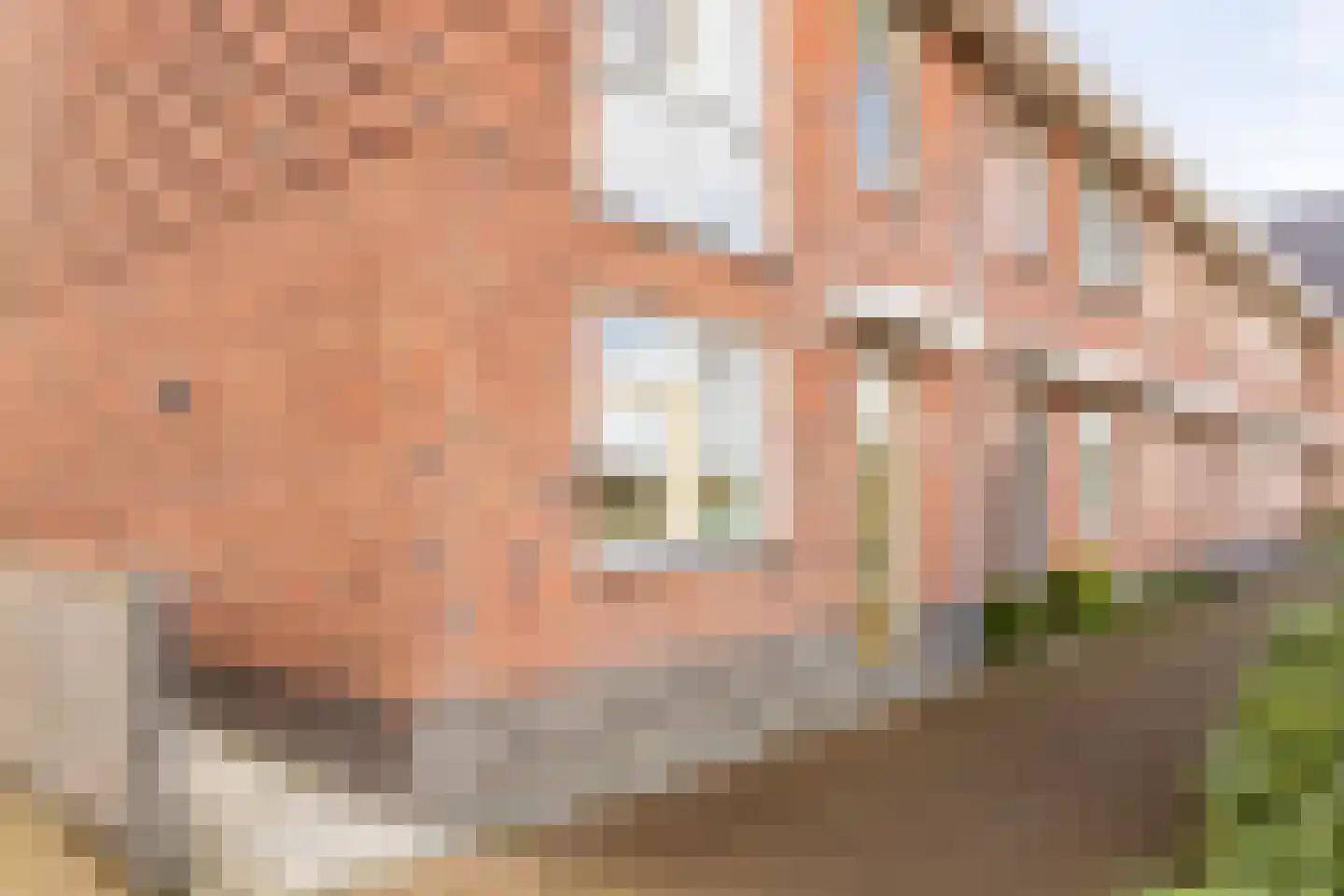 Duizendbladweg 11 Heerhugowaard thumbnail 45