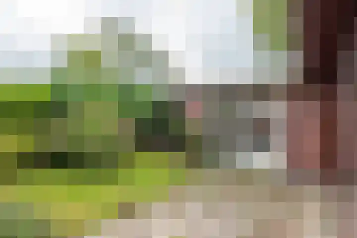 Duizendbladweg 15 Bergen (NH) thumbnail 30