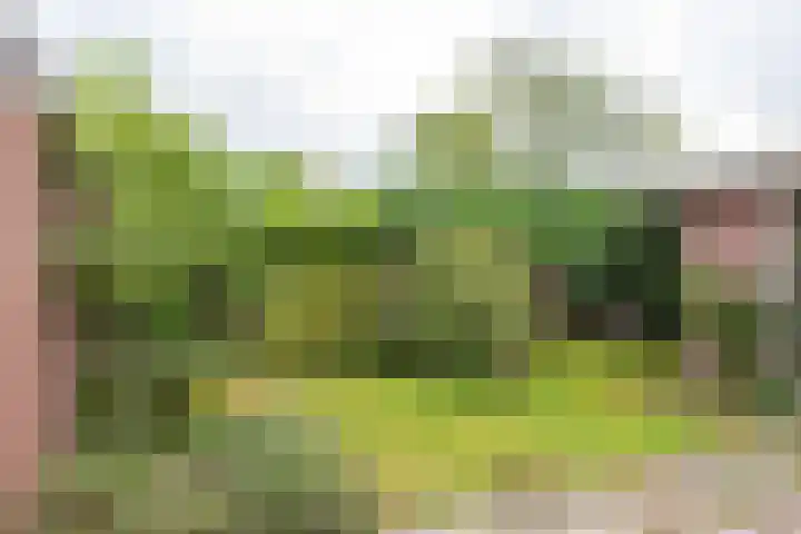 Duizendbladweg 15 Bergen (NH) thumbnail 31