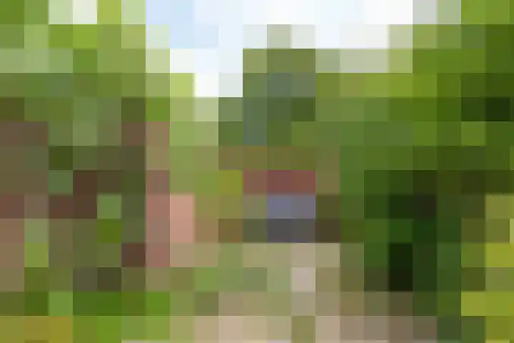 Duizendbladweg 15 Bergen (NH) thumbnail 33