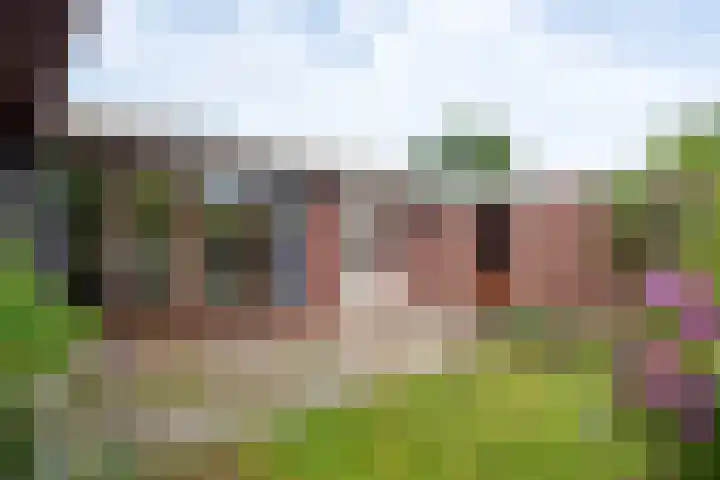 Duizendbladweg 15 Bergen (NH) thumbnail 35