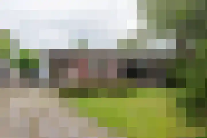 Duizendbladweg 15 Bergen (NH) thumbnail 36
