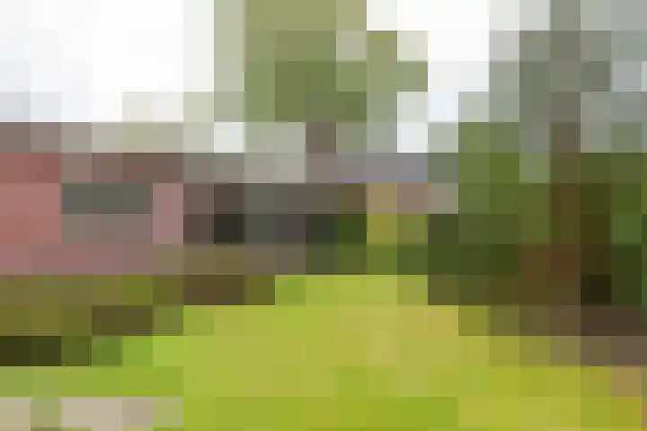 Duizendbladweg 15 Bergen (NH) thumbnail 37