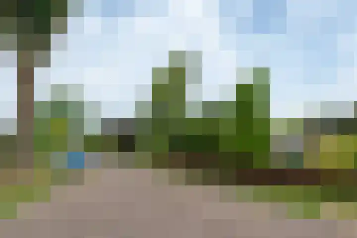 Duizendbladweg 15 Bergen (NH) thumbnail 42