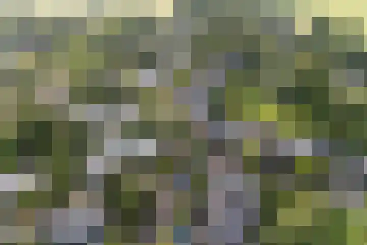 Duizendbladweg 15 Bergen (NH) thumbnail 47