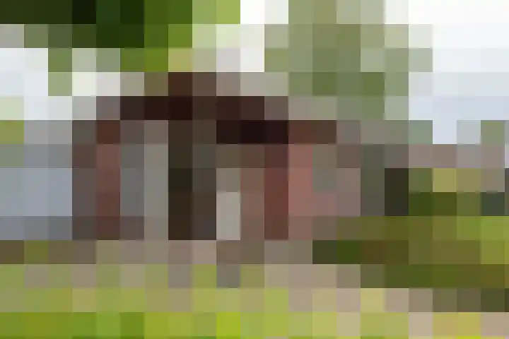 Duizendbladweg 15 Bergen (NH) thumbnail 6