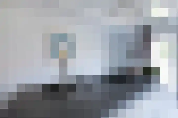Duizendbladweg 47 Heerhugowaard thumbnail 10